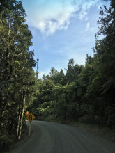 La gravel road 309